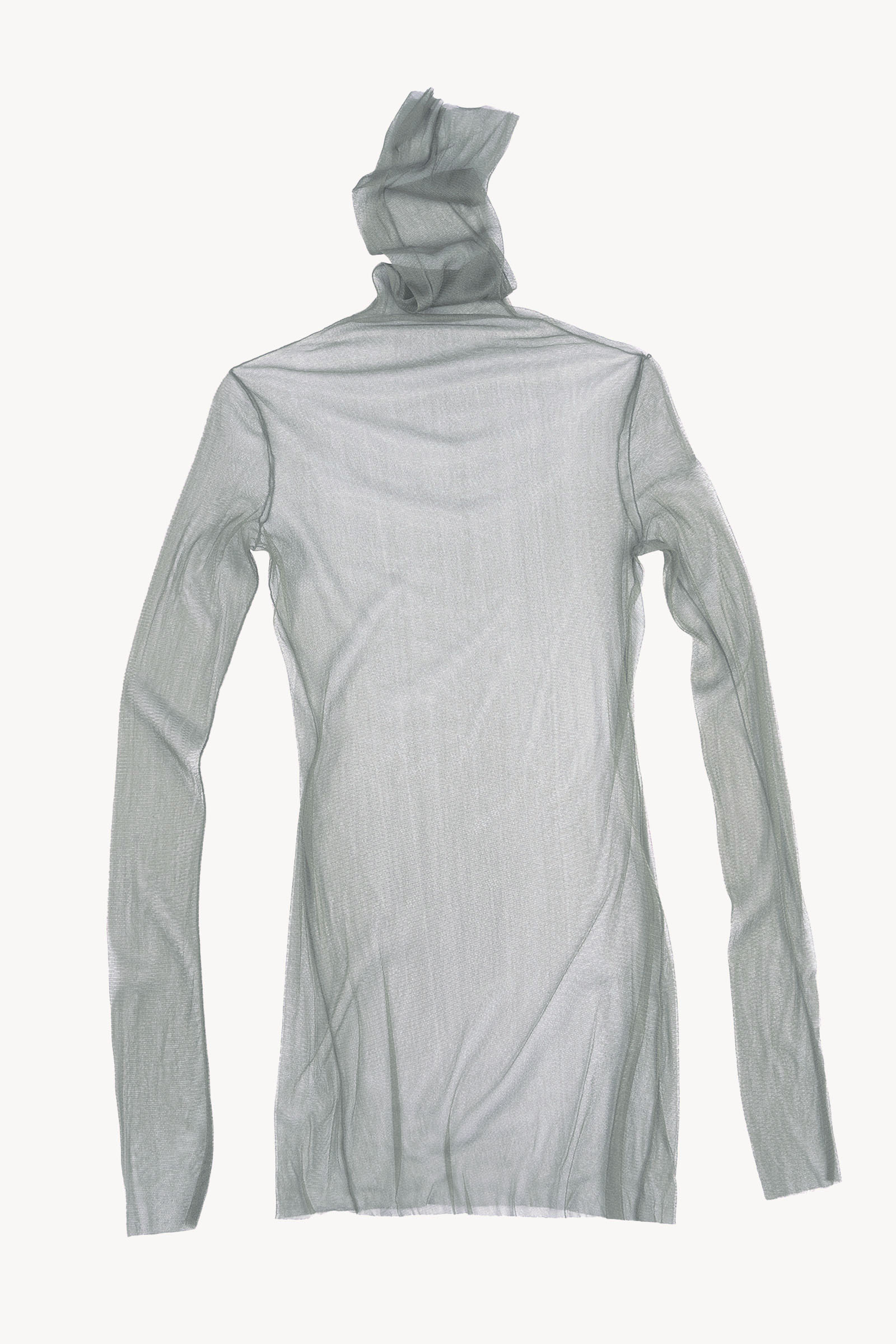 Cisne de tul, top acier
