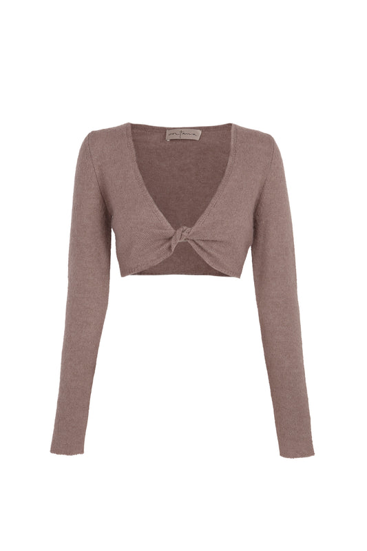 Cora, cocoa alpaca, merino and silk blend top