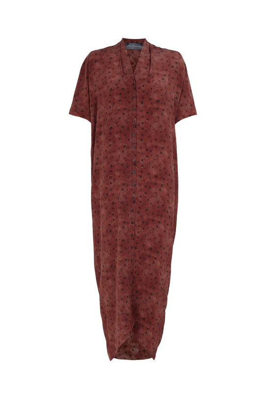 Lady bug, dots print silk dress