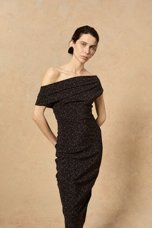 Camaron, stretch silk hedy print dress