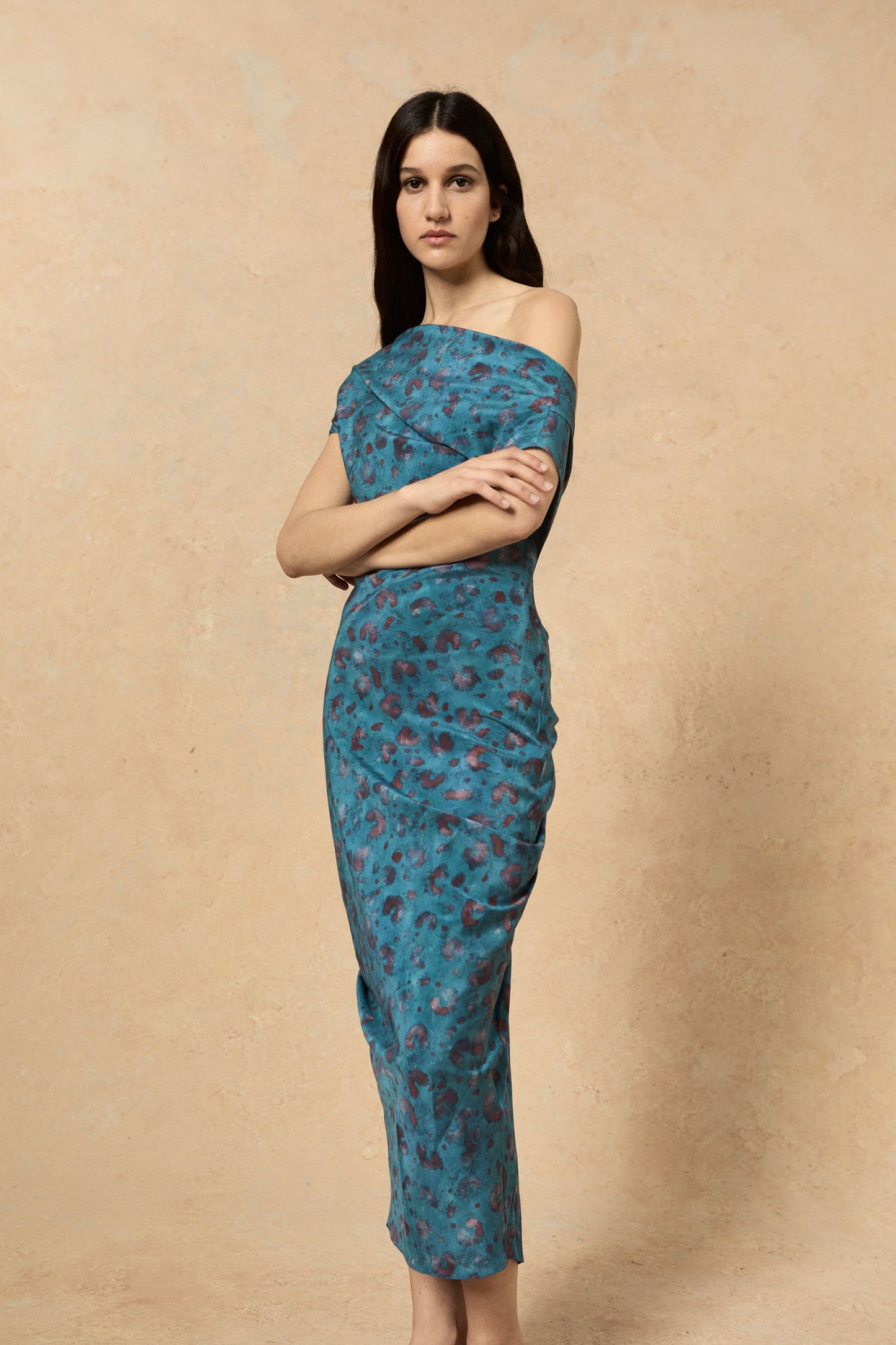 Camaron, stretch silk isla print dress