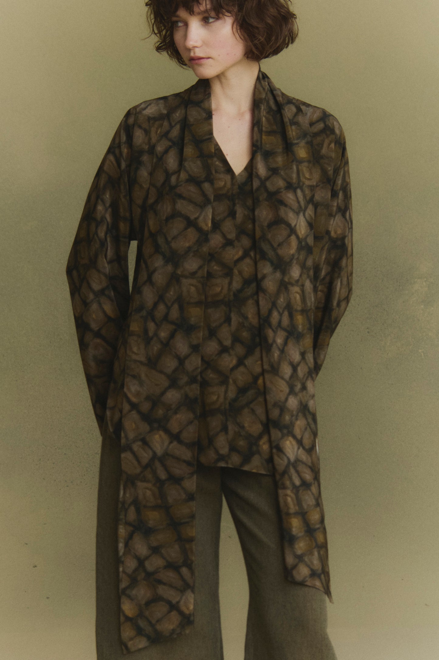 Deep, hoop print silk top