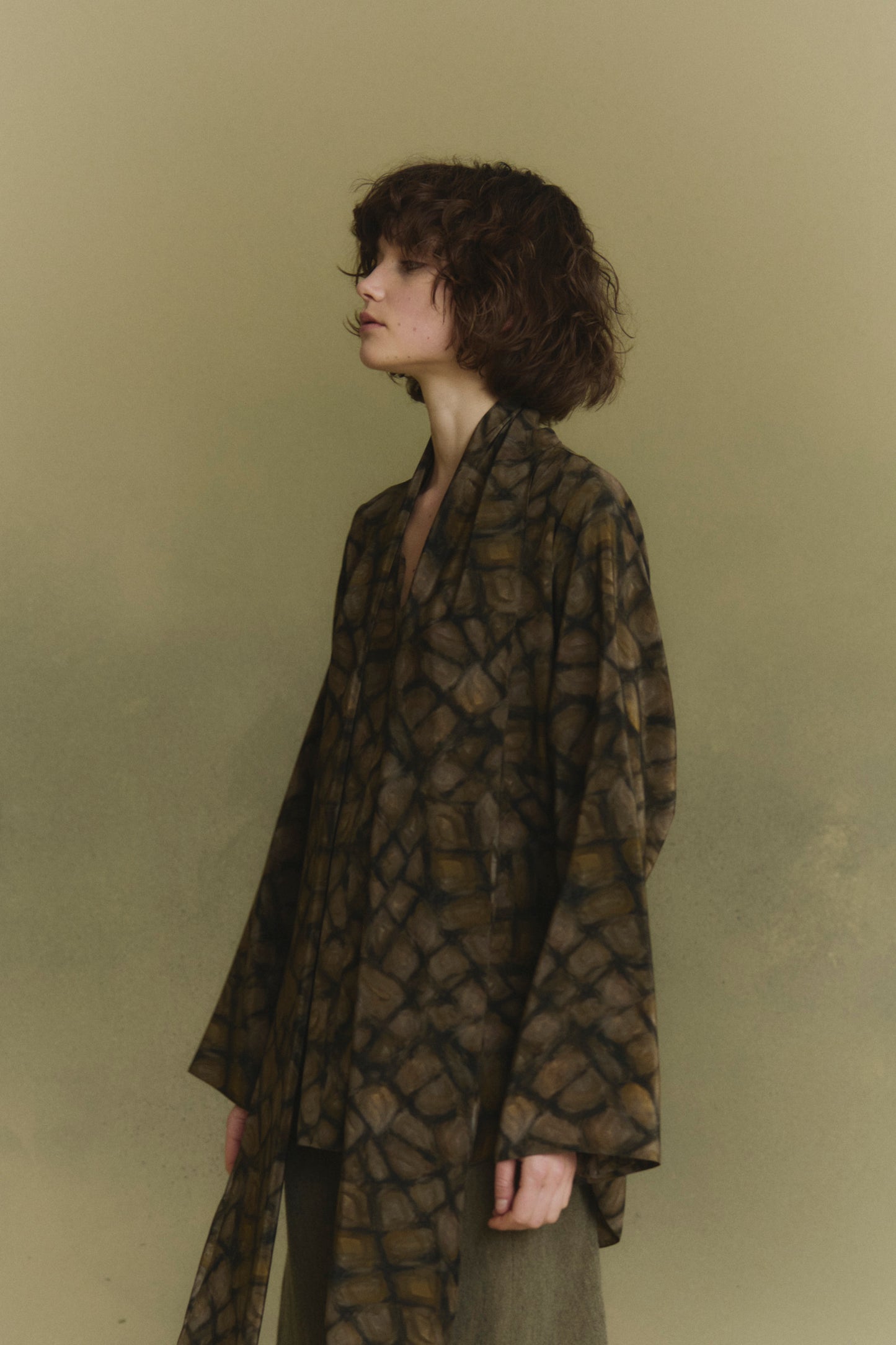 Deep, hoop print silk top