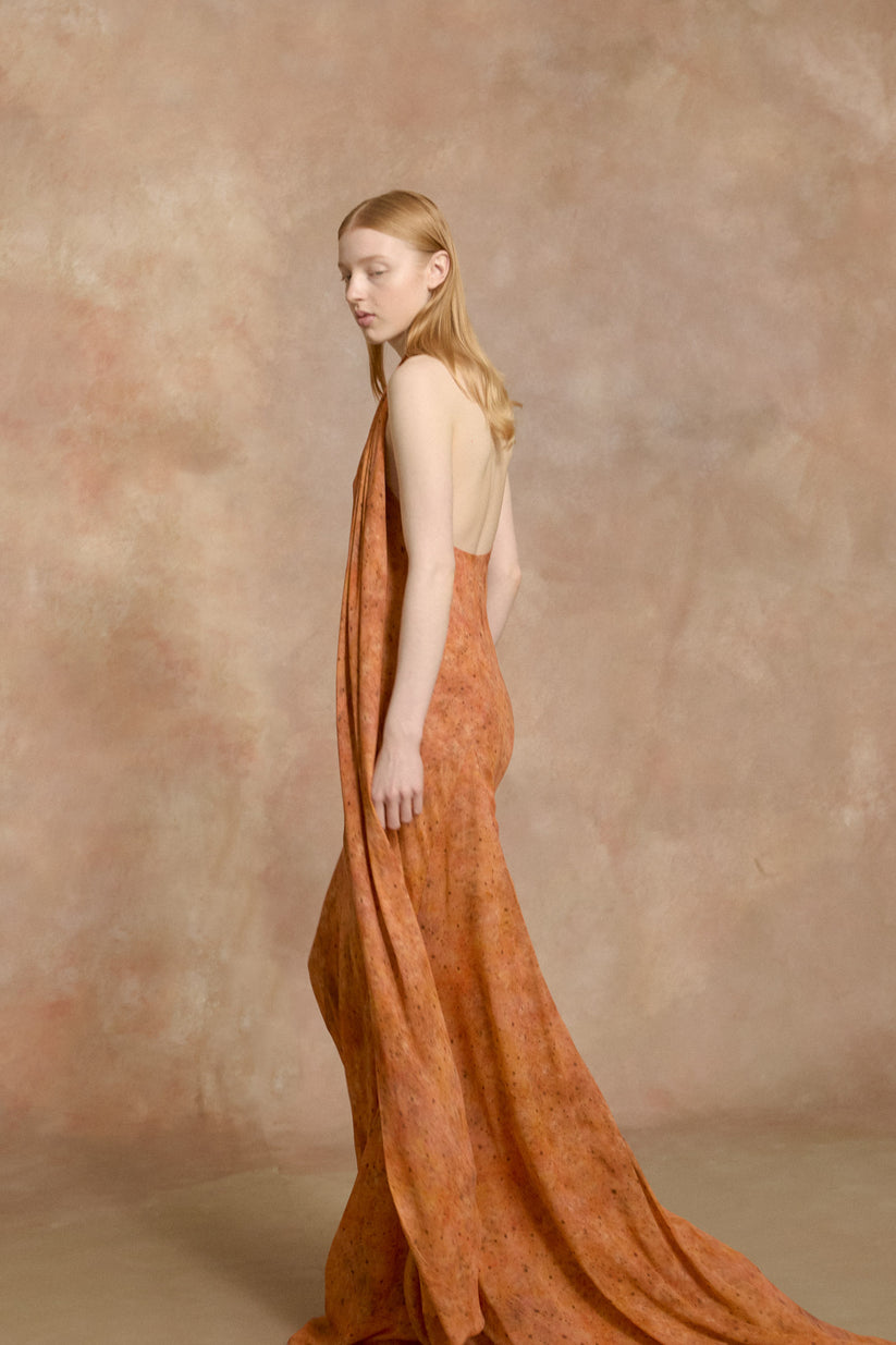 Cortana - Lara, sora print long silk dress Cortana - Lara, sora print long silk dress