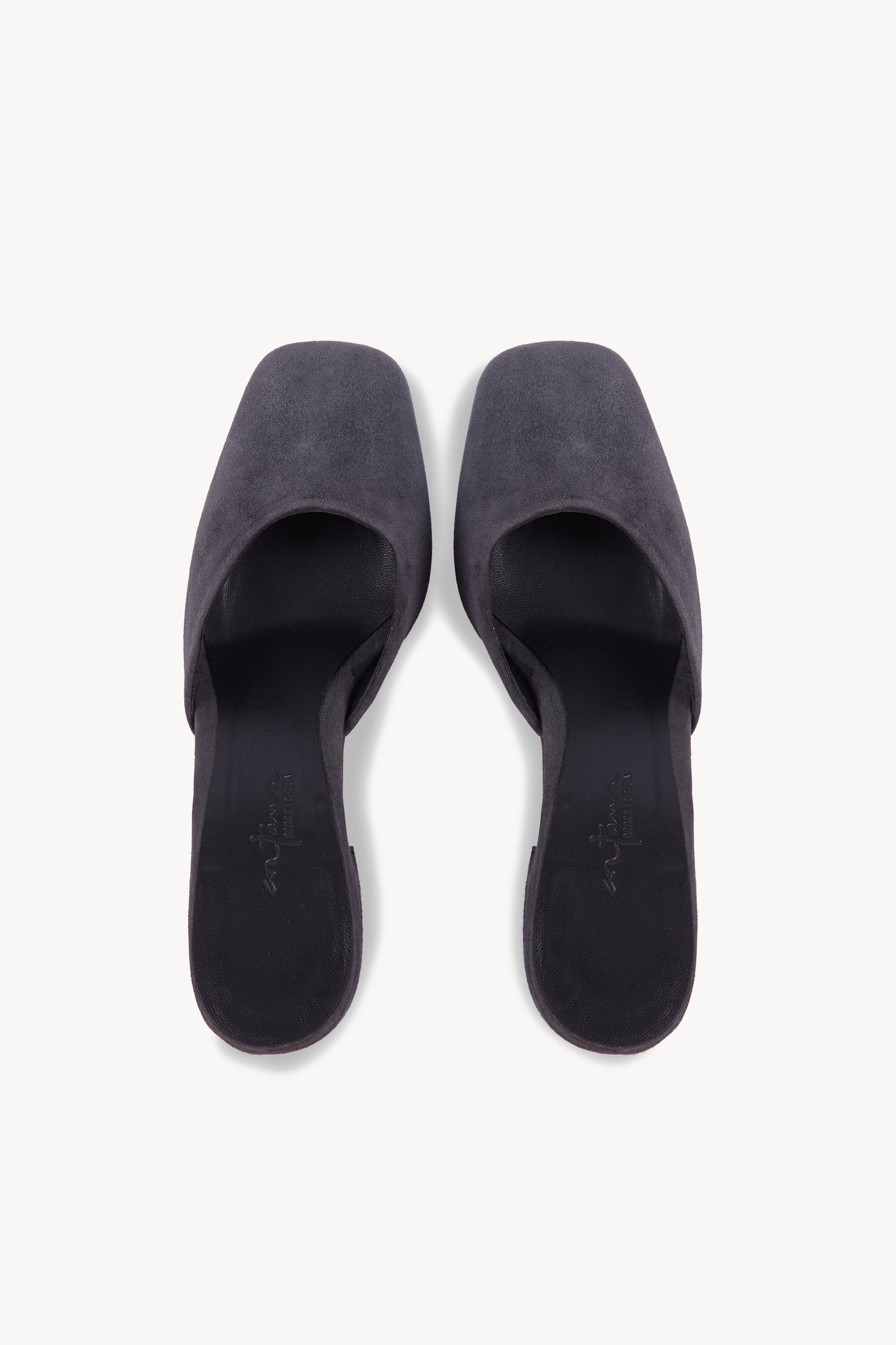 Luna, mule en ante grafito