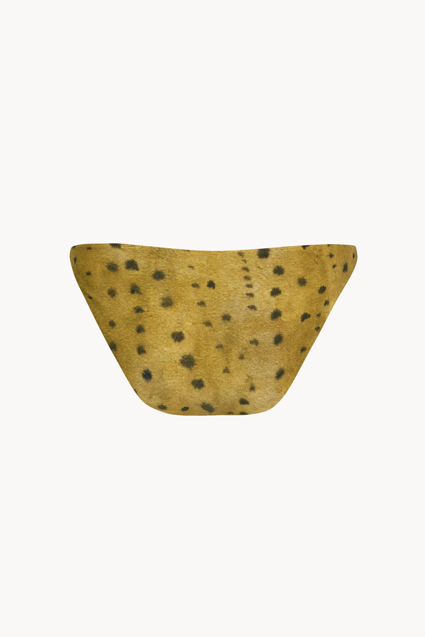 Salma, bikini brief llimona print