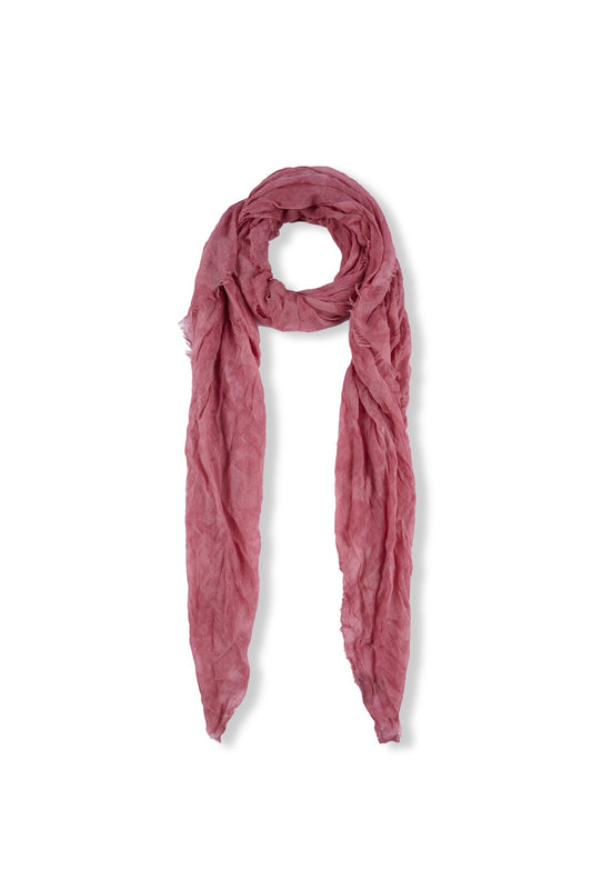 Giuseppe, pink scarf